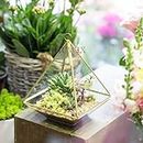 HUWIX Geometric Glass Terrarium for Succulent, Air Plants - 5.9x5.9x7.87 Inches - Pyramid Shape Wall Hanging Glass Planter Pot, Home Garden Tabletop Decoration, Handmade, Gold (Terrarium Only)