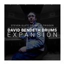 Slate Digital David Bendeth Expansion Pack - Samples for Steven Slate Drums Virtual Instr 11-31375