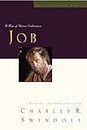Great Lives: Job: A Man of Heroic Endurance (Great Lives from God's Word)