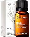 Gya Labs Birch Essential Oil Diffuser - Birch Oil for Skin - Essential Oil Birch for Massage, Scents, Perfumes, Fragrances, Candles & Soaps - Sweet, Minty & Camphorous Scent (10ml)