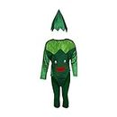 Raj Costume Polyester Kids Lady Finger Vegetables Fancy Dress & Costume school function Theme Party (Green_3-4_Years)