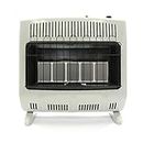 Heatstar 30000 Btu Vent Free Radiant Propane Heater With Thermostat And Blower