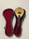 Mini instrumento musical vintage mandolina con estuche