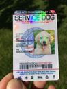 PROFESSIONAL HD PRINTED SERVICE DOG ID CARD CUSTOMIZE  ANIMAL BADGE TAG 