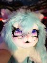 fursuit head premade HIGH QUALITY comes With Everything On It