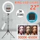 22" Dimmable Diva LED Ring Light with Stand Photo Lighting Make Up Video Lamp