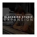 Slate Digital Blackbird Studio Expansion Pack - Samples for Steven Slate Drums Virtual In 11-31373