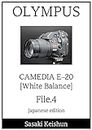 OLYMPUS CAMEDIA E20 file4 White Balance sasaki keishun File (Japanese Edition)