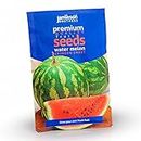 Jamieson Brothers® Water Melon Crimson Sweet Fruit Seeds (Approx. 20 Seeds) - Premium Quality Seeds to Grow Your Own Food at Home, in The Garden Or at The Allotment