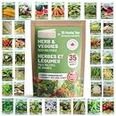 THUNDERBAY-GBSE Vegetable & Herb Seed Variety Pack of 35 Heirloom Sachets Approx. 6000 Seeds(100% Non GMO,35 Varieties Individually Packed Sachets, 35 Planting Tags) 35 sachets d'herbes et de légumes