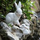 1pc Funny Garden Animals Statues, Rabbit Mama And Baby Easter Bunny With Flower Crowns Easter Figurine Decorations For Home Garden Decor, Outdoor Statues, Table Decorations