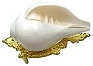 Centorganic loud Blowing shankh Original for Pooja Big size (6 Inch Conch Shell with Stand)