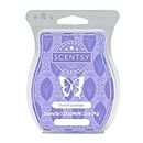 Scentsy Wax Bar Home Fragrance Multiple Choice of Aroma Type (French Lavender)