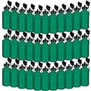 Ziliny 72 Pcs Sports Water Bottles Bulk 20 oz Plastic Water Bottles Reusable Squeeze Water Bottles Team Bottles with Pull Top Cap for Adults Kids Outdoor Cycling Fitness(Green)
