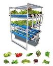 Pindfresh Hydroponics Kit for Home or Office - The Tashi Pro Indoor NFT Hydroponic System with Grow Lights for Growing 120 Leafy Greens - All Inclusive hydroponics kit from Seed to Harvest