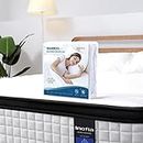 Inofia Queen Mattress 12 inch - Hybrid Queen Size Mattress Cool Bed with Waterproof Mattress Protector Included, Medium Firm Feel, Motion Isolation, 101 Nights Trial