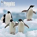 Penguins 2018 Calendar