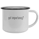 Molandra Products got importancy? - 12oz Camping Mug Stainless Steel, Black