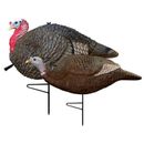 Primos Hunting Turkey Decoy Lil Gobbstopper Jake/Hen Combo Molded Rubber 69075