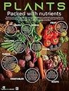Nutrition Education Store Plants: Many Beneficial Parts Poster - 18X24 Laminated - Plant Based Diet Promotion - Fruits and Veggies Promotion