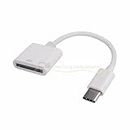 AngelicaPeony 30pin Female to USB 3.1 Type C Male USB-C Adapter Cable Computers Components Accessories Adapters