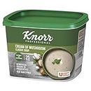 Knorr Classic Cream Of Mushroom Soup Mix, 25 Portions, 19738401,425 gr ( Pack of 1)