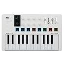 Arturia - MiniLab 3 - Universal-MIDI-Controller für Musikproduktion, mit All-in-One-Softwarepaket - 25 Tasten, 8 Multicolor-Pads, white