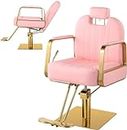 Hicomony Pink Salon Chair for Hair Stylist, Barber Chair Hair Chair for Home Barbershop Recling, Stylist Chair Hydraulic Pump with 360° Rotation,130° Recline,All Purpose Salon Equipment