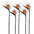 Calcifer 32'' Real Touch Bird of Paradise Artificial Flowers Bouquet for Home Garden Decoration/Wedding Party Decor (Goldenrod,5 Stems)
