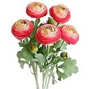 Xilyya Artificial Ranunculus Flowers Silk Peony Flower Stem for Household Arrangements Summer or Fall Decor-5PCS (Pink)