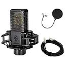 Lewitt LCT-440 Pure Microphone Bundle with 20-foot XLR Cable & Pop Filter (3 Items)