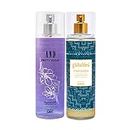 AND Pretty Vogue Body Mist 200ML & Global Desi Star Gazer Body Mist 200ML Long Lasting Scent Spray Gift For Women Perfume