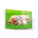 Cat And Dog Friendship Tempered Glass Wall Art,  Fade Proof Home Decor Wall Art