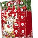 CALANDIS Christmas Box Countdown Advent Calendar Christmas Blind Box Toy | Christmas Decor Item For Home | Resin | 1 x Calendar with 24 Hanging Ornaments