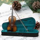 Full Size Violin Stringed Musical Instruments for Adults Kids Violin Lover