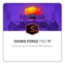 MAGIX Sound Forge Pro 17 - [Download]