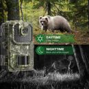 Keep an Eye on Wildlife con cámara de 16 MP 4K para caza de senderos para vigilancia