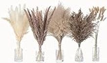 80Pcs Dried Pampas Grass Decor, Natural Pompous Grass 17" Small Pampas Dried Flowers Arrangements for Boho Home Wedding Party Decor - White & Natural Pampas, Reed Grass, Bunny Tails