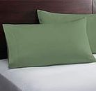 YRM - Soft Durable for All Season 100% Bamboo Quality 2 - Pcs Pillow Covers (17" x 27") - Emerald Green Color