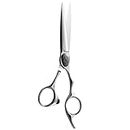 AOLANDUO Barber Scissor (6 Inch)-Extremely Sharp-Offset Design Using Japanese VG10 Stainless Steel Hair Cutting Scissor for Salon Stylists- Smooth Motion Fine Craftsmanship Barber Shears…
