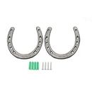 Qlvily 2 Packs Rustic Cast Iron Horseshoe Wall Decor, 5 inch Light Duty Medium Horseshoe for Indoor and Outdoor Decoration