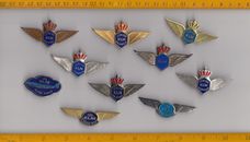Vintage Junior Pilot Stewardess brooch pin badge wing KLM SAS Pan Am  Airlines 