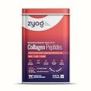 Zyog Collagen Peptides Type I & III - Advanced Skin, Hair, and Nails Anti-Aging Solution with Hyaluronic Acid, Biotin, Vitamins B, C & E, Omega 3 & 6 | Diabetic Friendly | Peach Flavored Collagen Powder - Pack of 15 Sachets for Men & Women