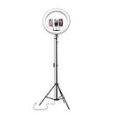 Amazon Basics LED Ring Light (14-inch) with Tripod Stand & Mini Tripod, and Dual Temperature Modes