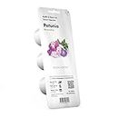 Click and Grow Smart Garden Petunia Plant Pods, 3-pack
