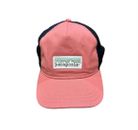 Patagonia Women's Trucker Hat Pastel P-6 Label Layback Mesh Back in Pink Blue