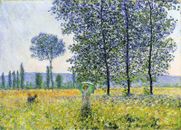 Framed Vintage painting art - Claude Monet - artwork lady field poster canvas