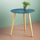 Friends & Furniture Wooden Round End Table, Coffee Table, Plant Stand/Table, Side Table for Living Room, Bedroom, Balcony (Sea Foam)