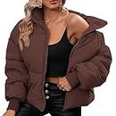 Dppiee Winter Puffer Jacket Women Cropped Baggy Down Coats Long Sleeves Zip Puffy Jackets, Brown, Medium