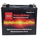 BRS20HL-BS High Performance AGM Battery 2 Year Warranty 12V, 20AH, 310 CCA Maintenance Free Replacement: YTX20HL-BS, UTX20HL-BS, CTX20HL-BS, EBX20L-BS, ETX20L, 20L-BS, PTX20L-BS